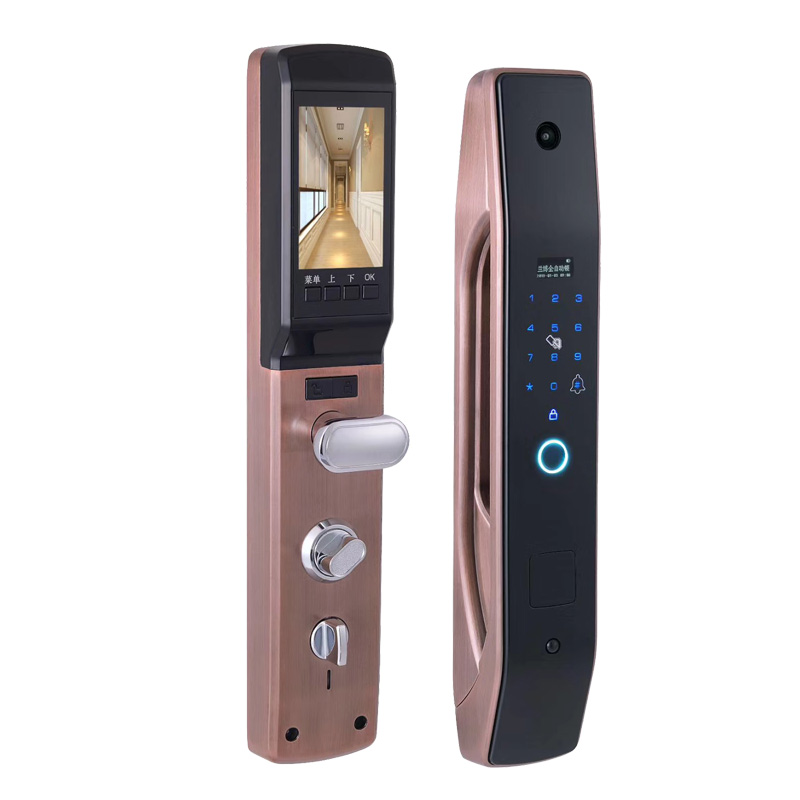 HanDaily Easy to Install Intel - Smart Home Door Lock 评论和价格