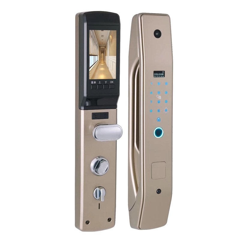 HanDaily Easy to Install Intel - Smart Home Door Lock 评论和价格