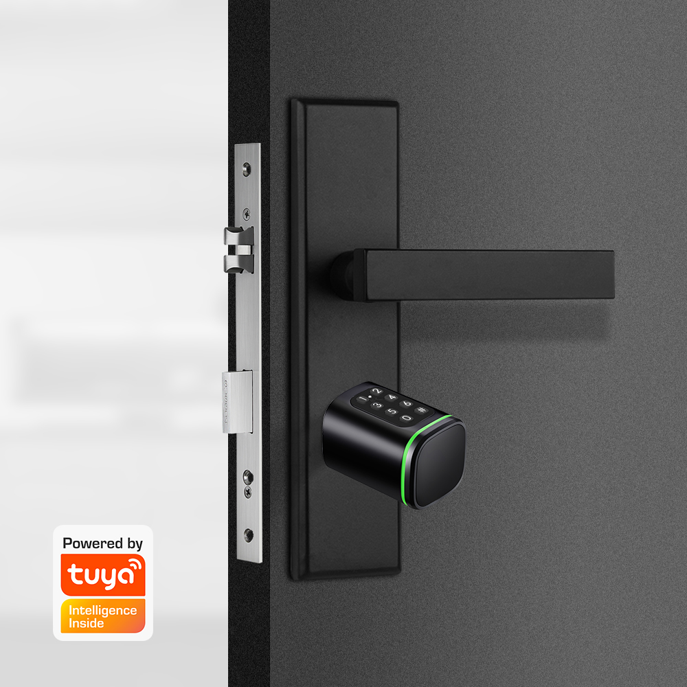 Smart Cylinder Lock Tuya 60-90 - Smart Home Door Lock 评论和价格